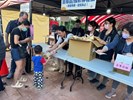 發放宣導品